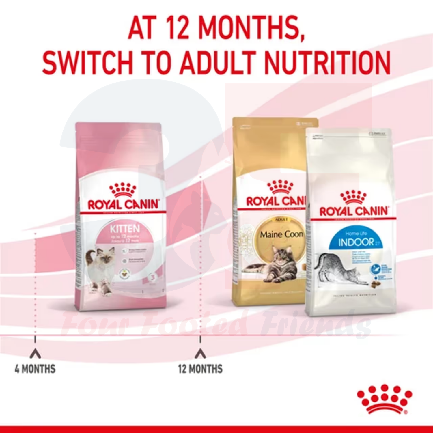 Thức Ăn Hạt Cho Mèo Con Royal Canin Kitten 36 - 10KG